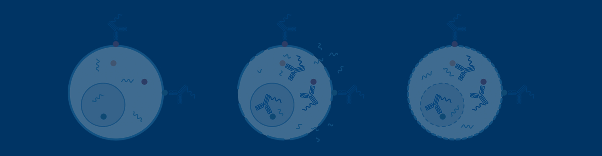 CST技術資訊-InTraSeq